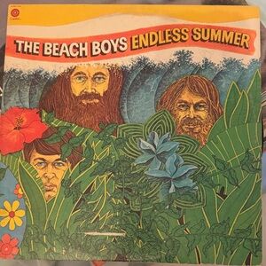 The Beach Boys Endless Summer Vinyl Record